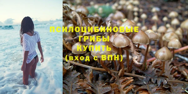 героин Алексин