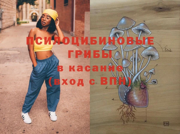 дживик Алексеевка