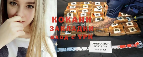 дживик Алзамай