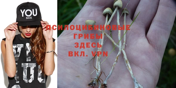 дживик Алзамай