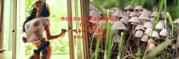 героин Алексин