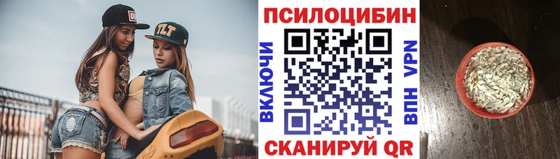 где купить наркоту  Краснознаменск  Псилоцибиновые грибы мухоморы 