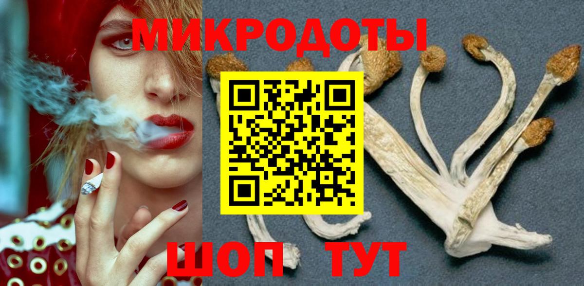 Галлюциногенные грибы MAGIC MUSHROOMS Краснознаменск