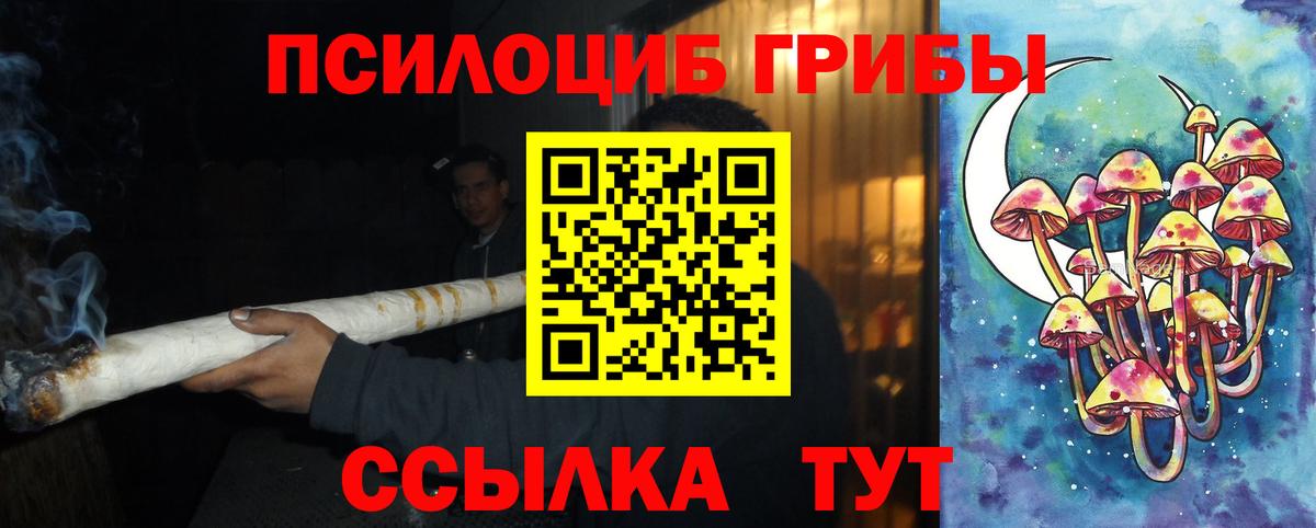 наркота  Галлюциногенные грибы мухоморы  Галлюциногенные грибы Magic Shrooms  Вход с VPN  Краснознаменск 